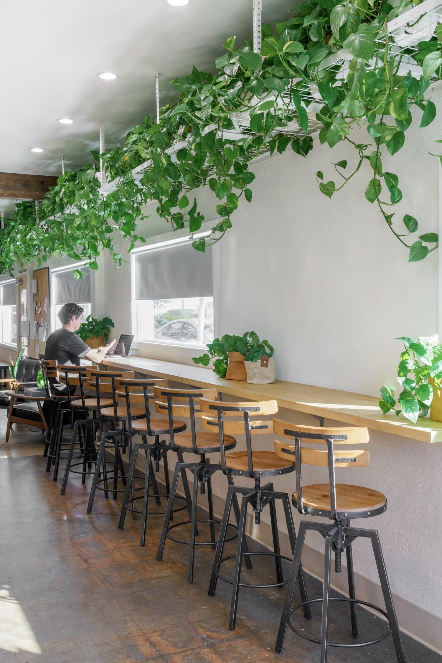 Stools along the window counter under hanging plants at Wrigley Coffee
